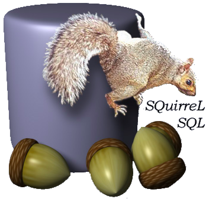 Squirrel logo